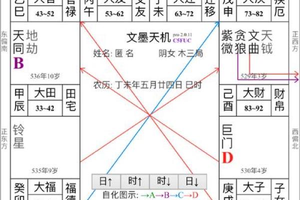 紫薇斗数突破天罗地网