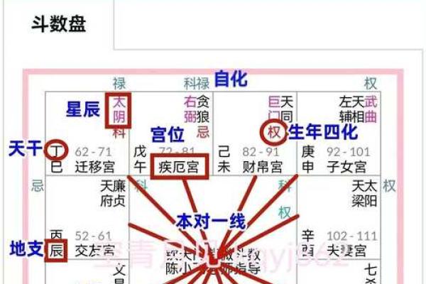 紫薇斗数限运