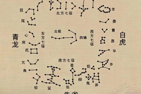 紫薇斗数全部星宿