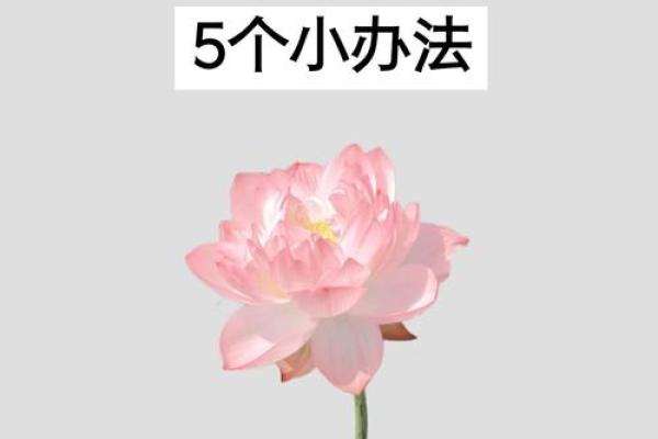 风水怎么看出自己被借运了有贵人出现