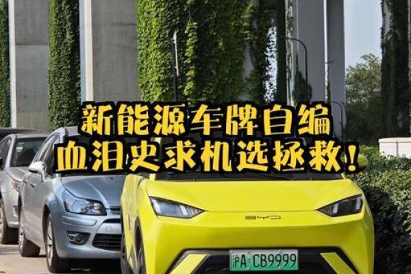 新能源车牌吉凶测试
