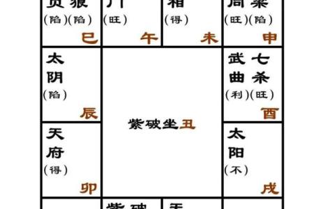 pdf紫薇斗数全书下载
