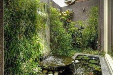 房子地下有池水风水好吗