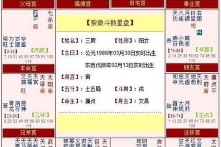 紫微斗数诸星落诸宫之：子女宫
