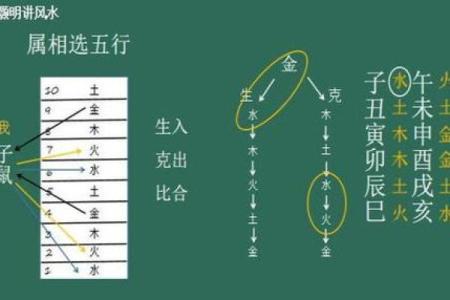 楼层风水与属相五行