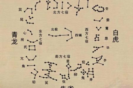 紫薇斗数全部星宿