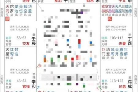 紫薇斗数apk