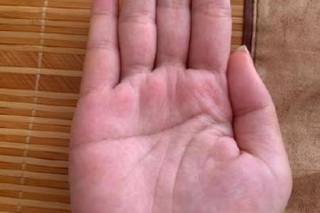 手相假断掌算命图解