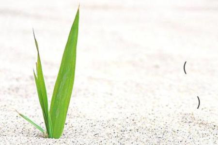 吕祖灵签5签解签