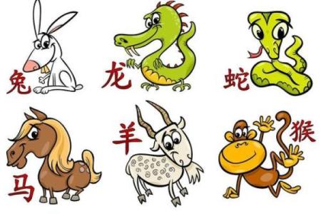 哪个动物是算命先生,哪个生肖会算命