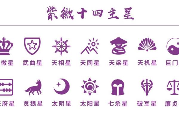 紫薇斗数夹主星