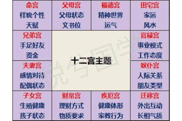 紫薇斗数卯宫对应
