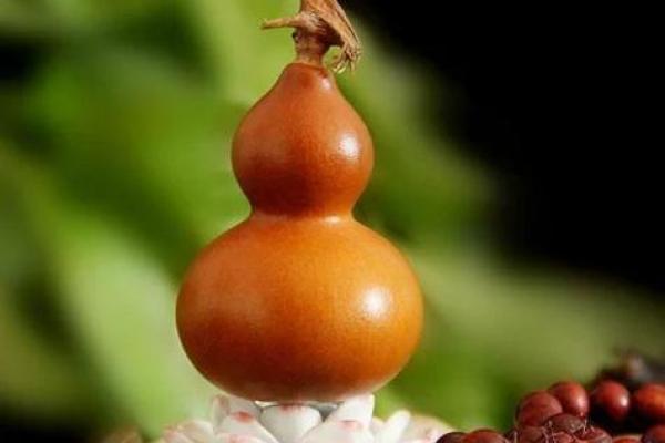 天然生长的真葫芦在风水中有什么作用和功效