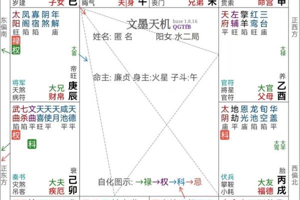 紫薇斗数紫薇在命