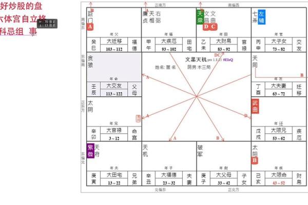 紫薇斗数流年财运1