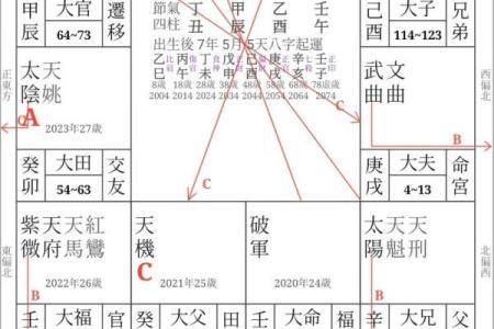 紫薇斗数四化与星组合