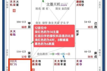 紫薇斗数批流年男顺女逆