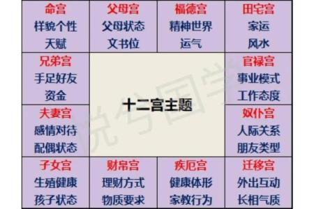 紫薇斗数卯宫对应