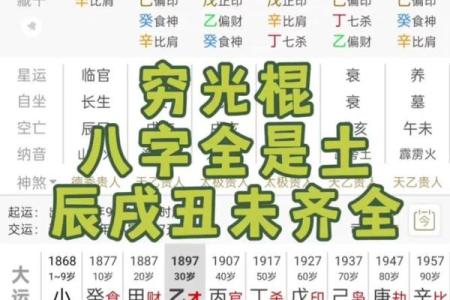 八字土旺的人适合什么工作