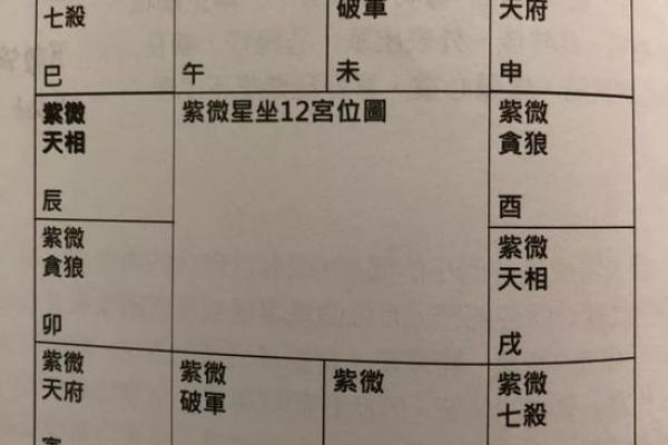 紫薇斗数事业成就