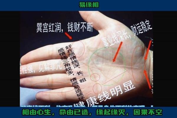 罕见的掌纹手相算命和图解