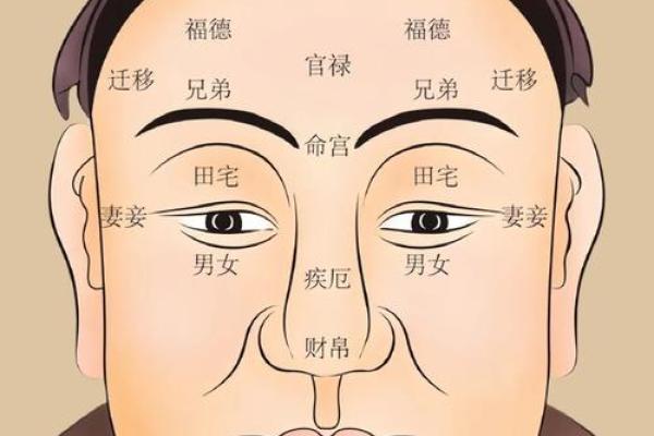 眉毛很浅在面相算命中是怎么说