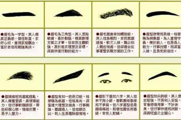 眉毛很浅在面相算命中是怎么说