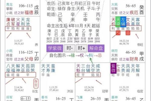 紫薇斗数宫职