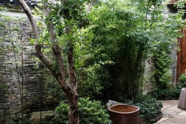 燕子岩老宅风水