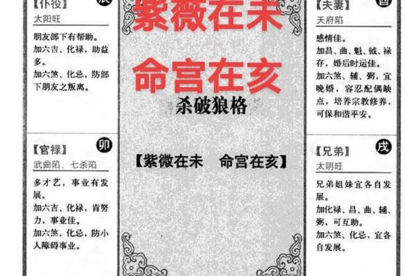 紫薇斗数豆瓣
