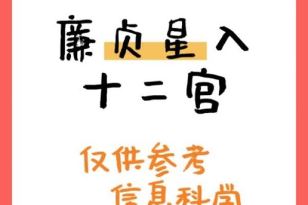 廉贞星坐守官禄宫紫微斗数大成