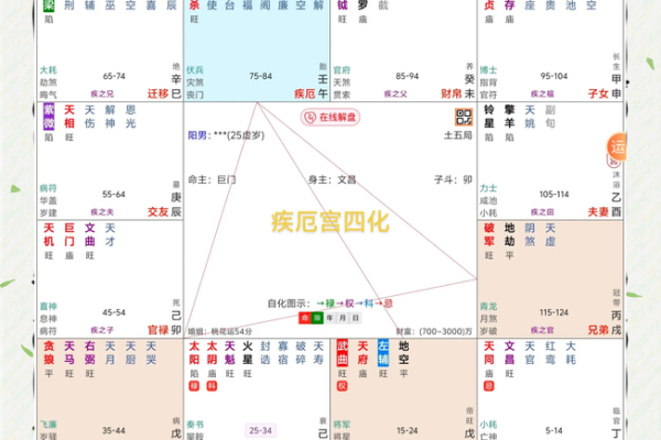 紫薇斗数化解化忌