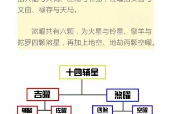 紫薇斗数如何学