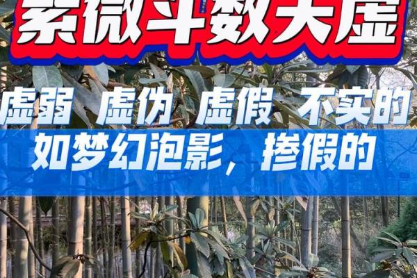 紫薇斗数里天虚