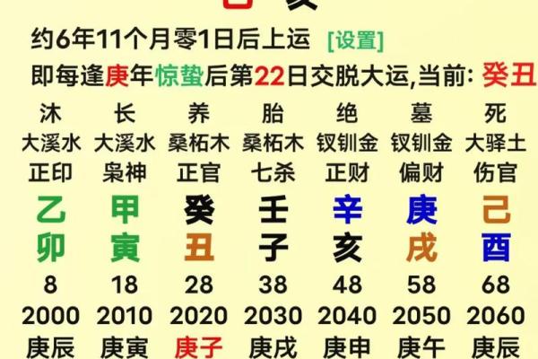 丁酉辛亥丙戍己亥八字命运