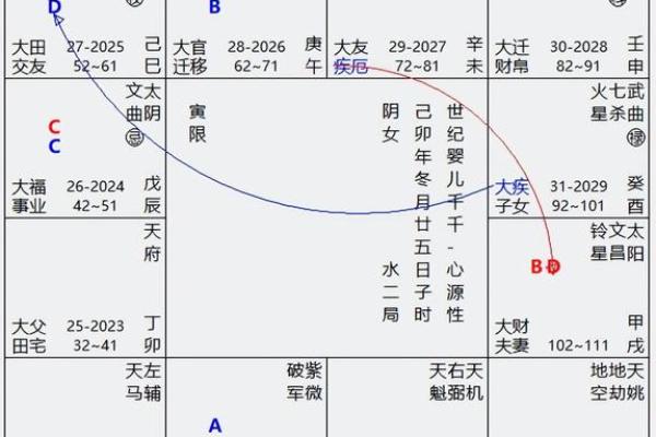 紫薇斗数排盘免费测试