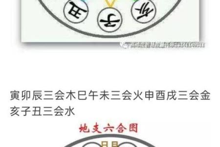 八字里三会局,八字中三会局