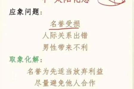 紫薇斗数化解化忌