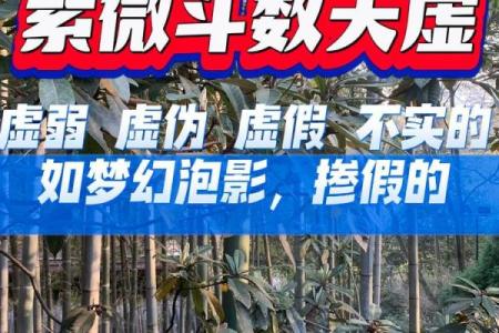 紫薇斗数里天虚