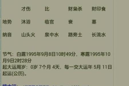 八字怎么看自己是什么命格,八字查询生辰八字查询