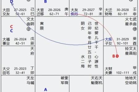 紫薇斗数排盘免费测试