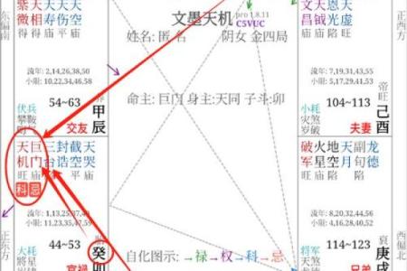 紫微斗数全星一览表,紫微斗数十四主星有哪些