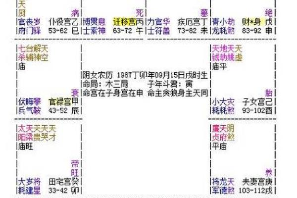 紫薇斗数舞曲