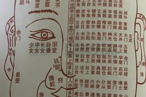三角眉毛的面相算命图解