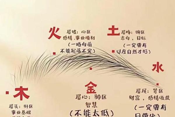 三角眉毛的面相算命图解