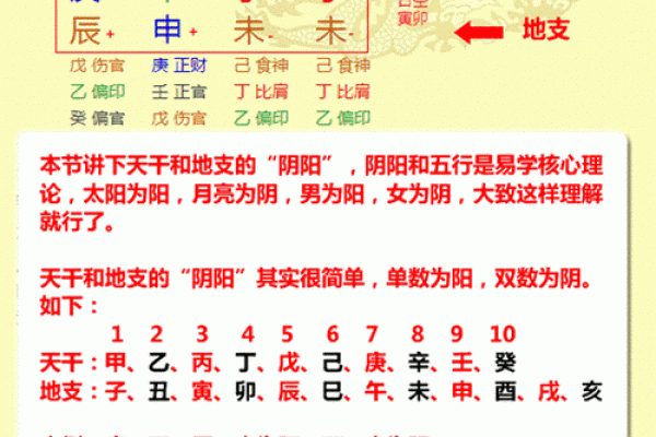 详解八字排盘