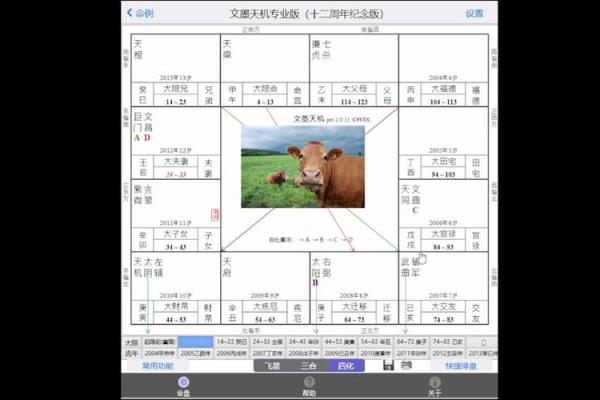 紫薇斗数盘下载