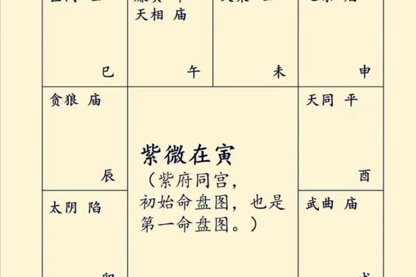 紫薇斗数主星择业