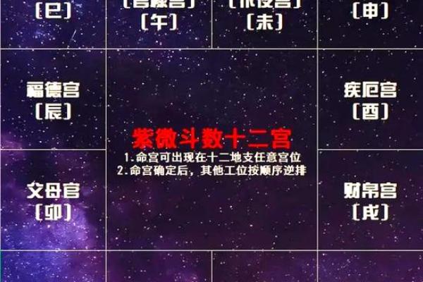 紫薇斗数与四柱