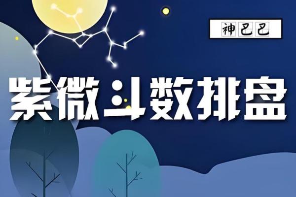 紫薇斗数定盘软件